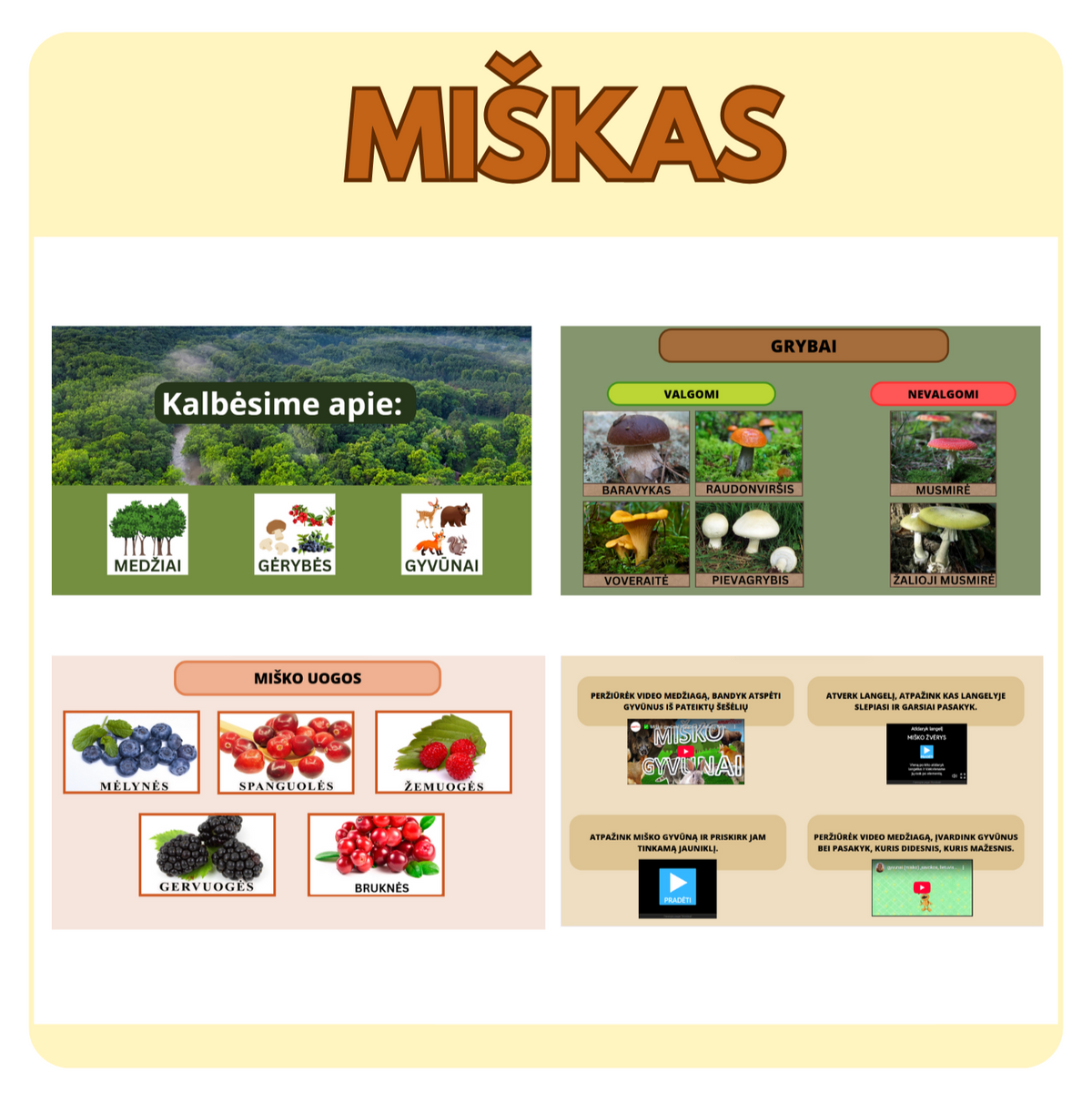 SKAIDRĖS MIŠKO TEMA
