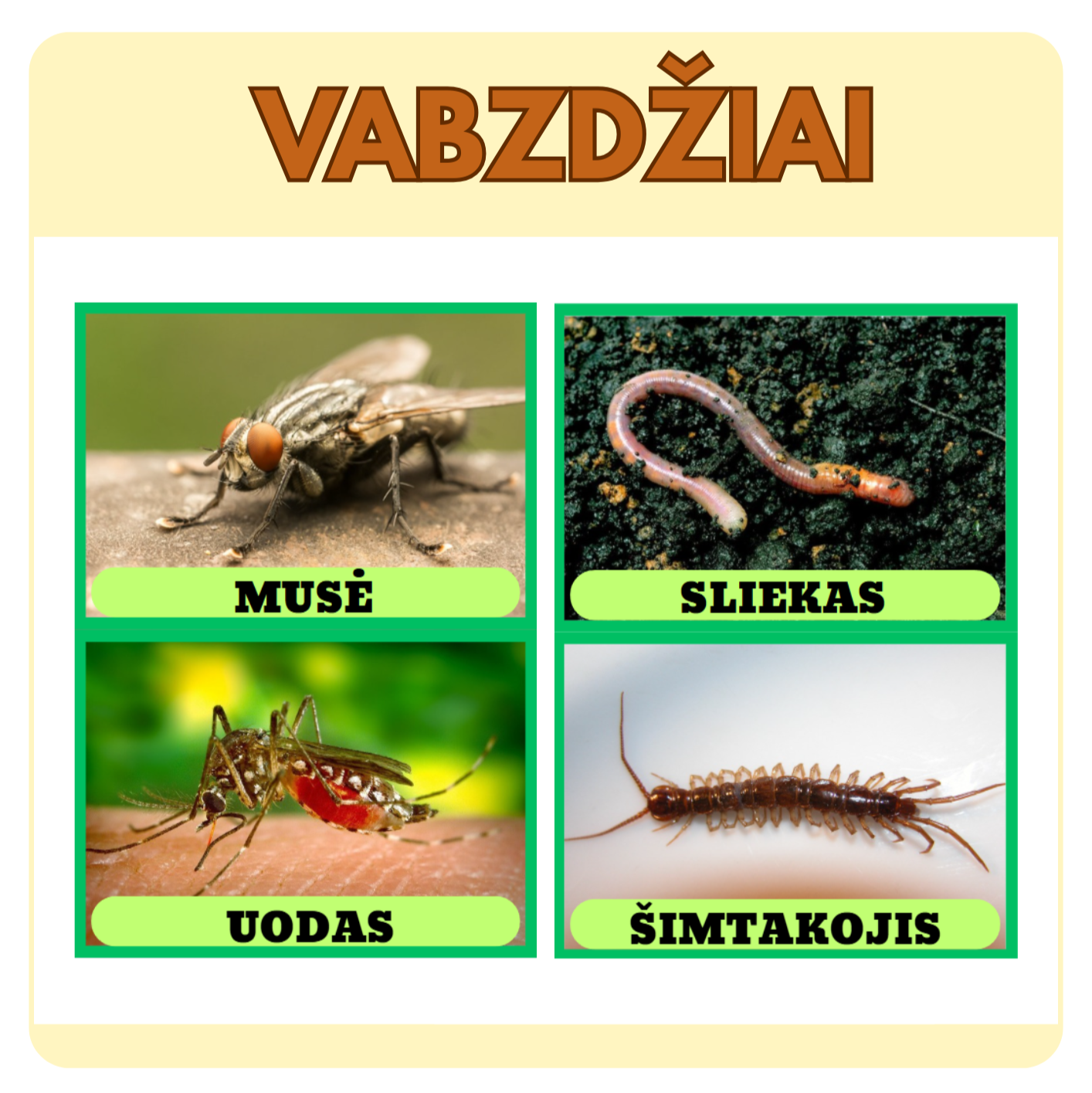 VABZDŽIŲ KORTELĖS
