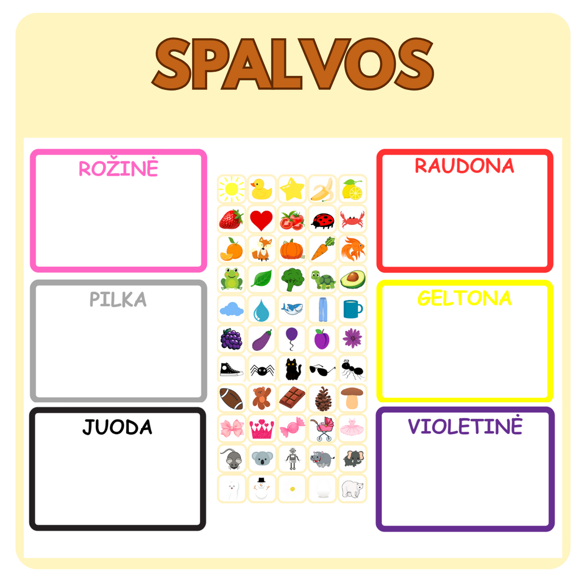 SPALVŲ RŪŠIAVIMO UŽDUOTIS