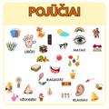 POJŪČIŲ KORTELĖS