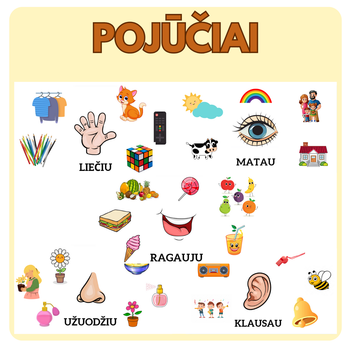 POJŪČIŲ KORTELĖS