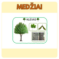 MEDŽIŲ KORTELĖS