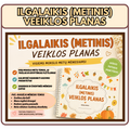 ILGALAIKIS (METINIS) PLANAS