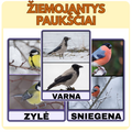 ŽIEMOJANČIŲ PAUKŠČIŲ KORTELĖS