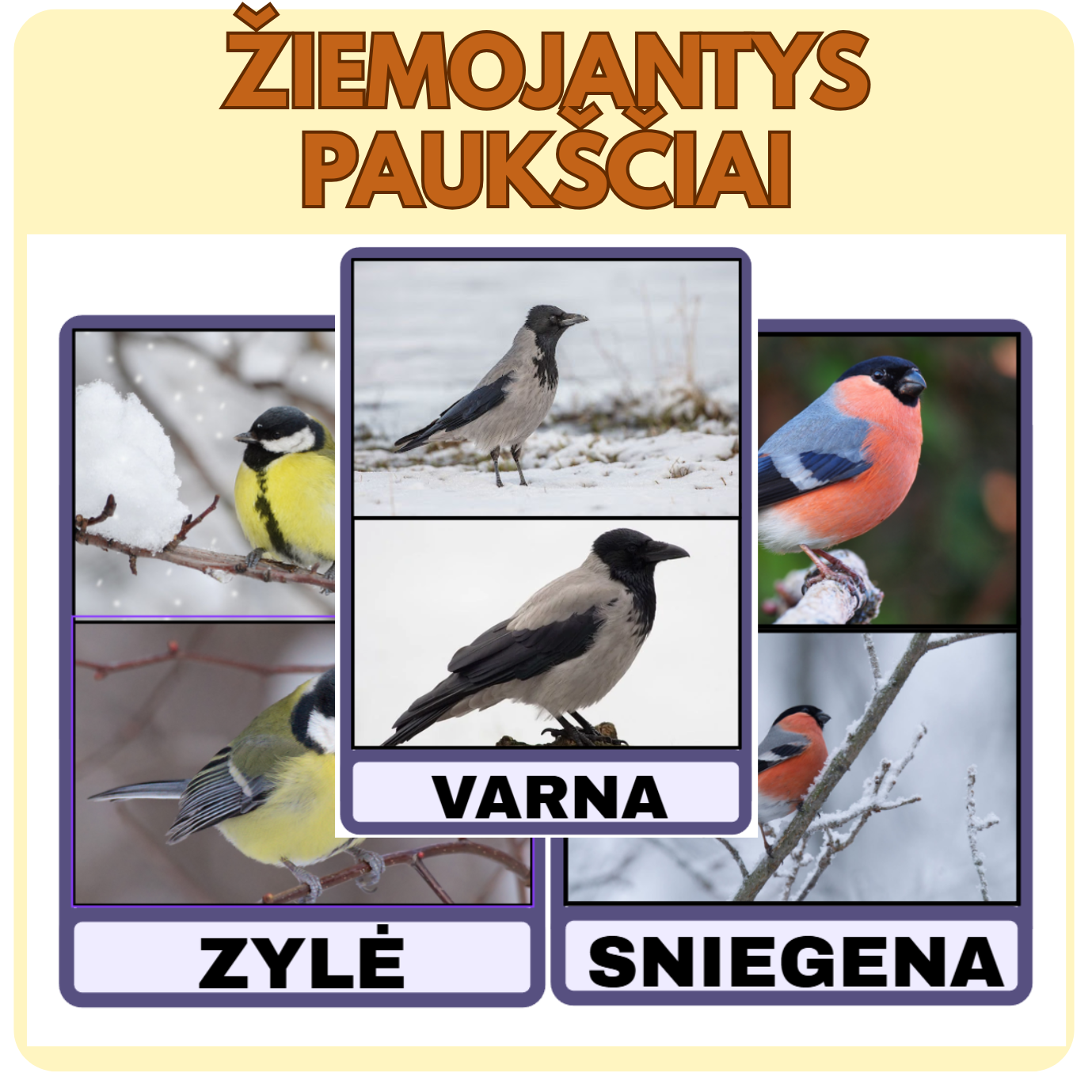 ŽIEMOJANČIŲ PAUKŠČIŲ KORTELĖS