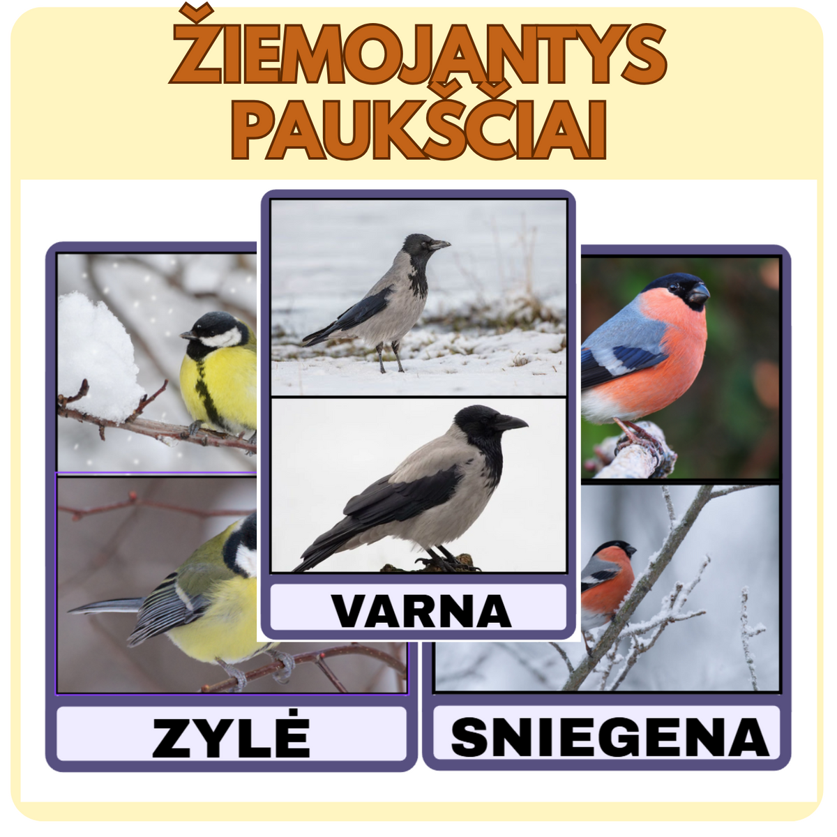 ŽIEMOJANČIŲ PAUKŠČIŲ KORTELĖS