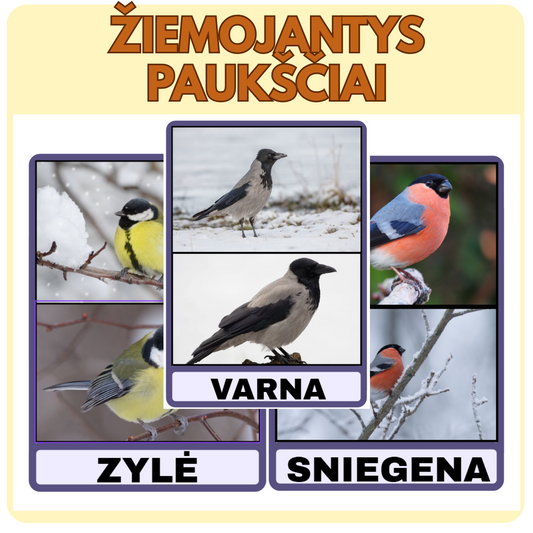 ŽIEMOJANČIŲ PAUKŠČIŲ KORTELĖS